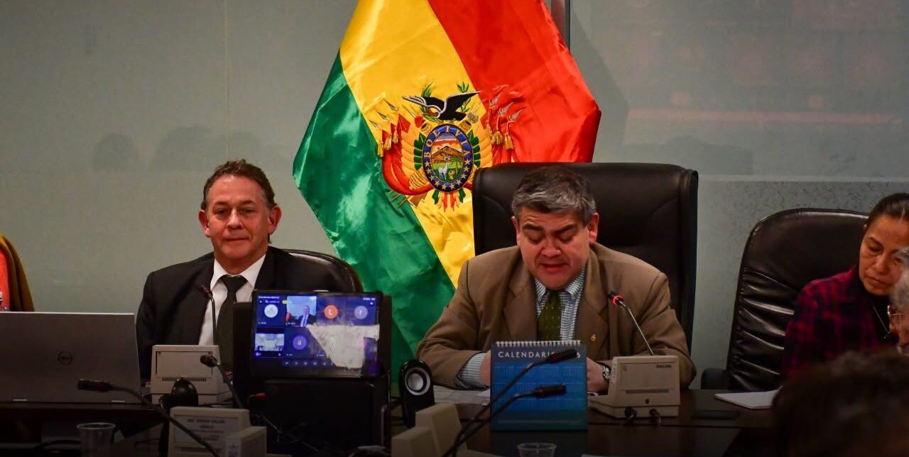 El viceministro Álvaro Fernando Tapia en la Comisión de Planificación. Foto: Cámara de Diputados.