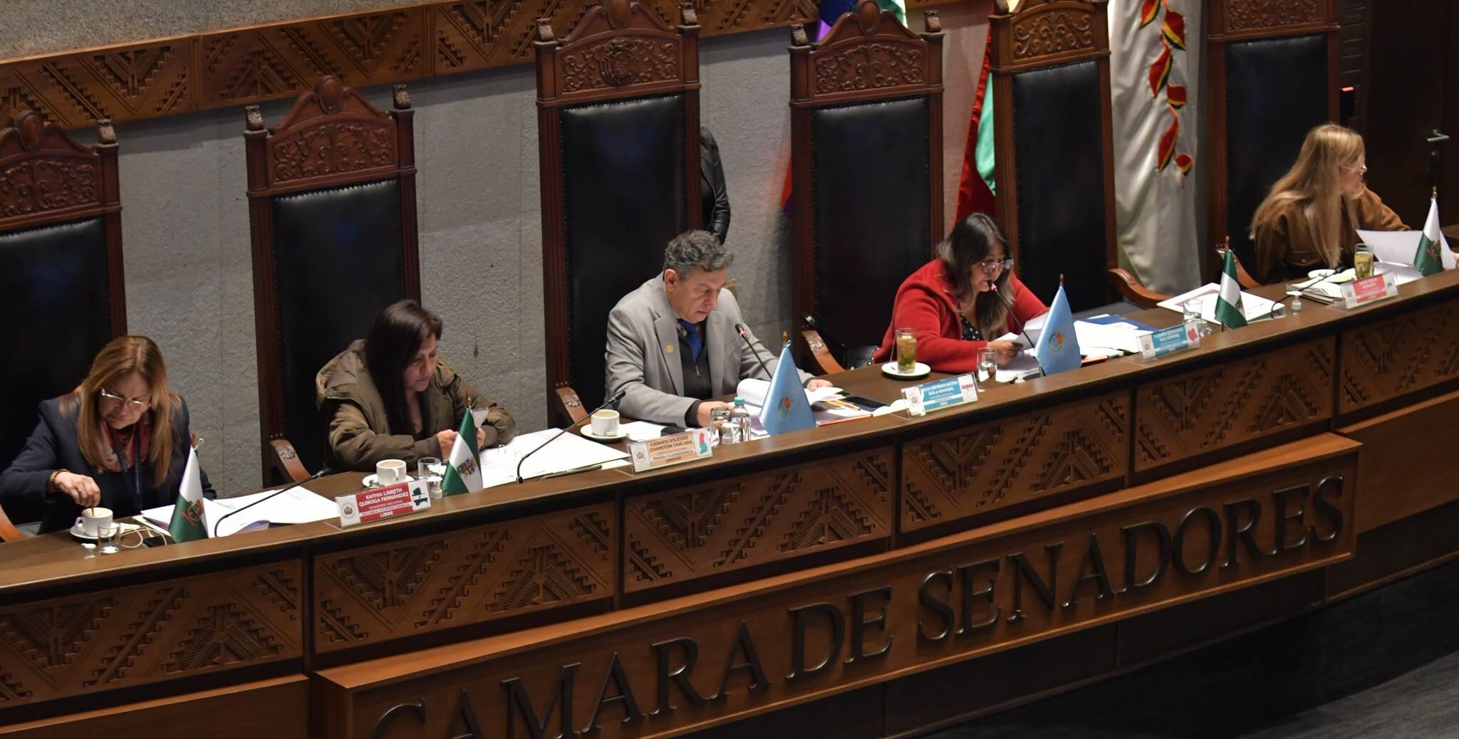 Legisladores analizan la norma durante la sesión de este martes. Foto: Cámara de Senadores.