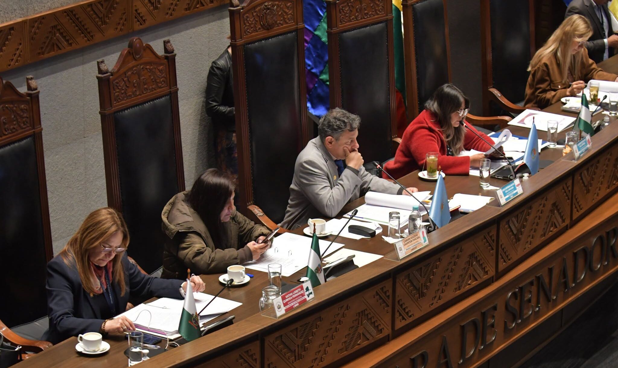 Legisladores durante una sesión anterior en el Senado. Foto: Cámara de Senadores.
