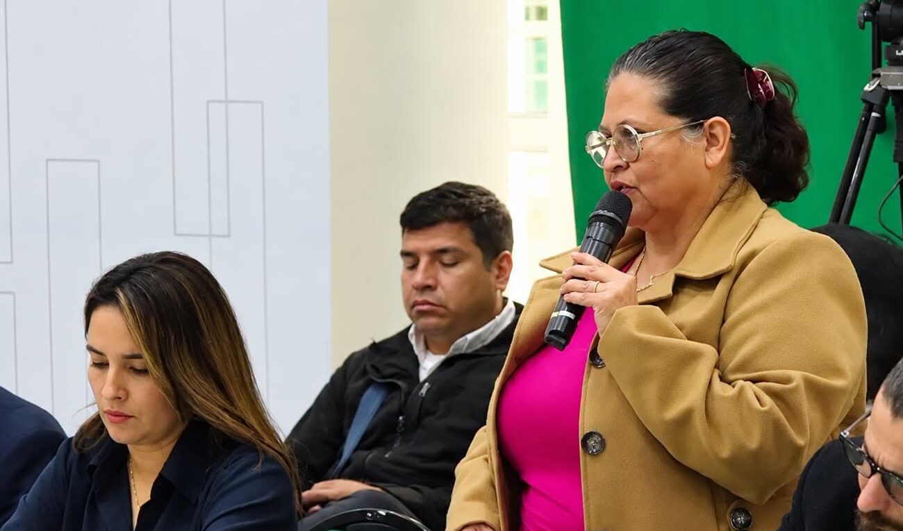 La ministra Marcela Flores en la reunión con representantes de Santa Cruz. Foto: Ministerio de Salud.