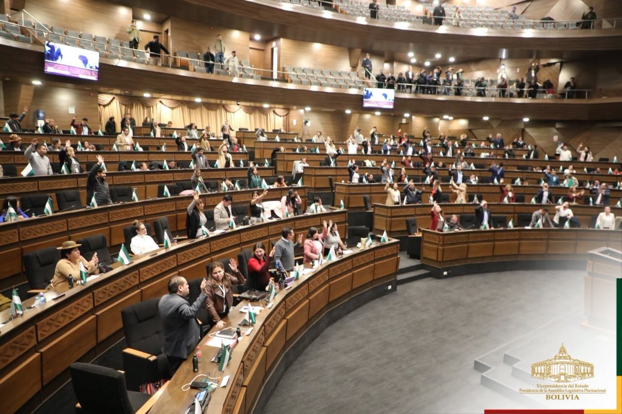 Votación para la ampliación de estado de excepción por 90 días. Foto: Vicepresidencia del Estado Plurinacional.