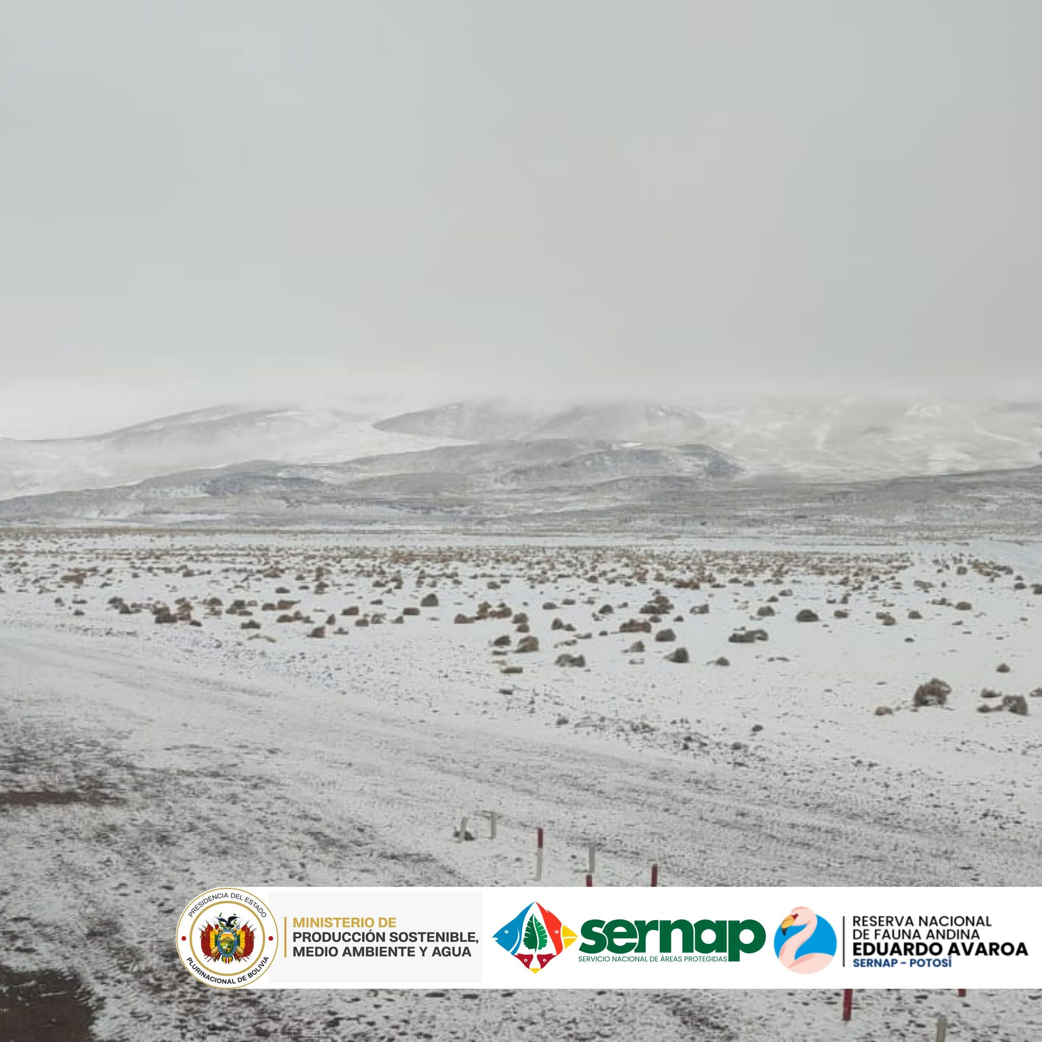Nevadas registradas en la Reserva Eduardo Avaroa. Fotos: RNFA-EA.
