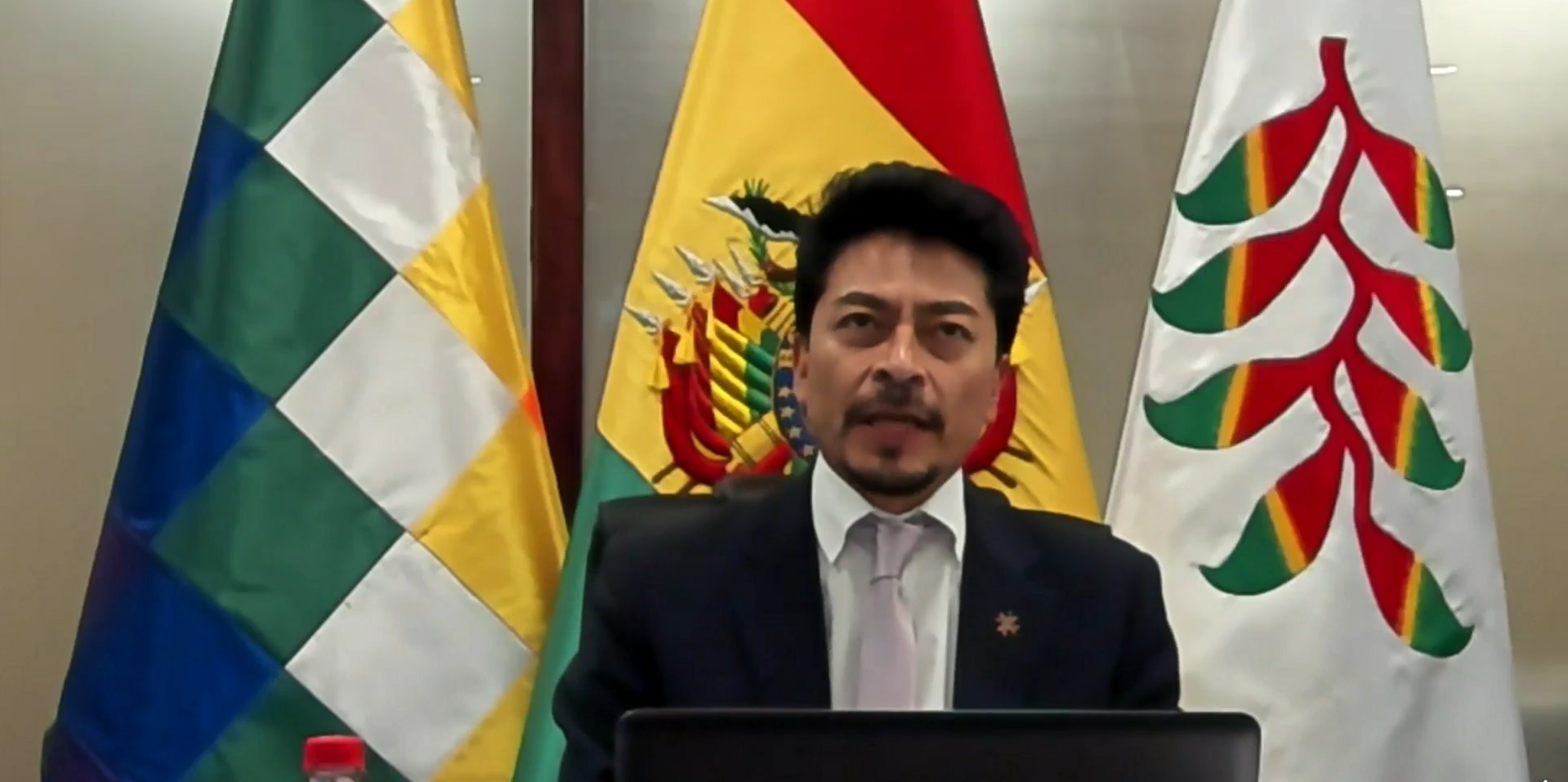 El ministro de la Presidencia, Fernando Aramayo, participó en la reunión del Consejo Permanente de la OEA.