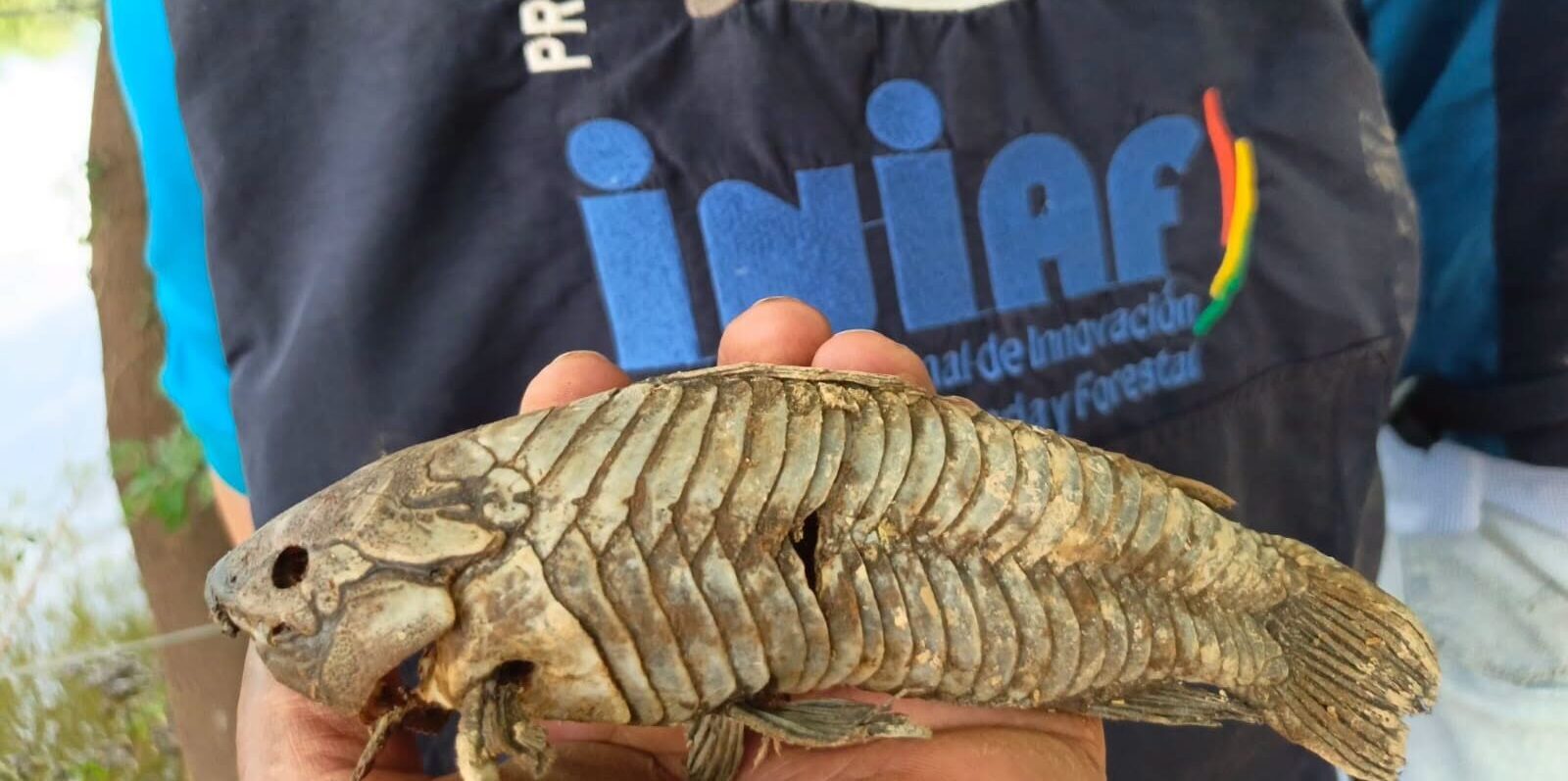 Primera intervención técnica para el muestreo biofísico de bañados para repoblamiento de sábalo. Fotos: Iniaf.