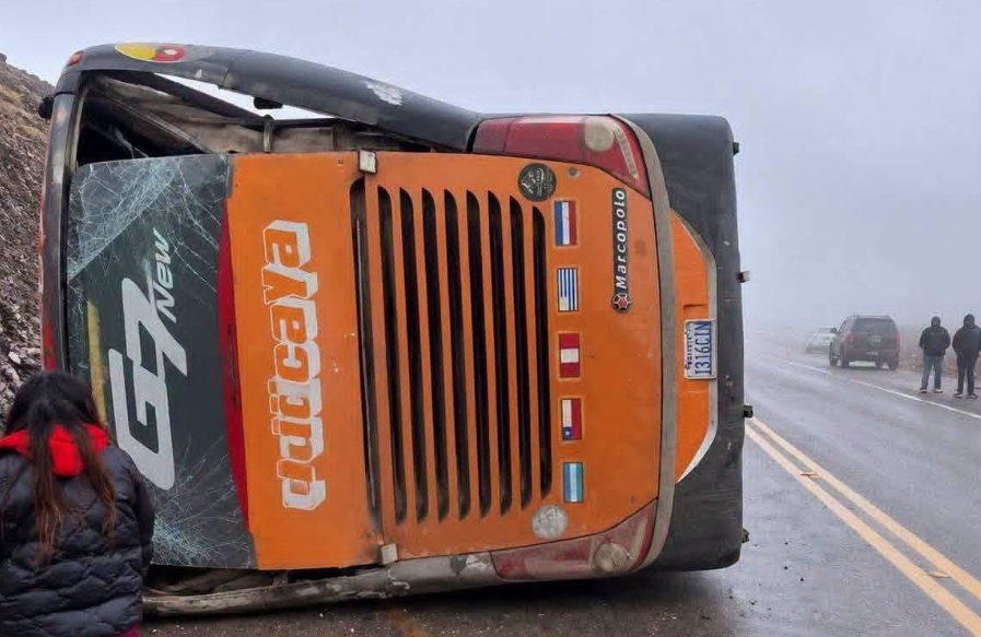 La flota accidentada. Foto: redes sociales