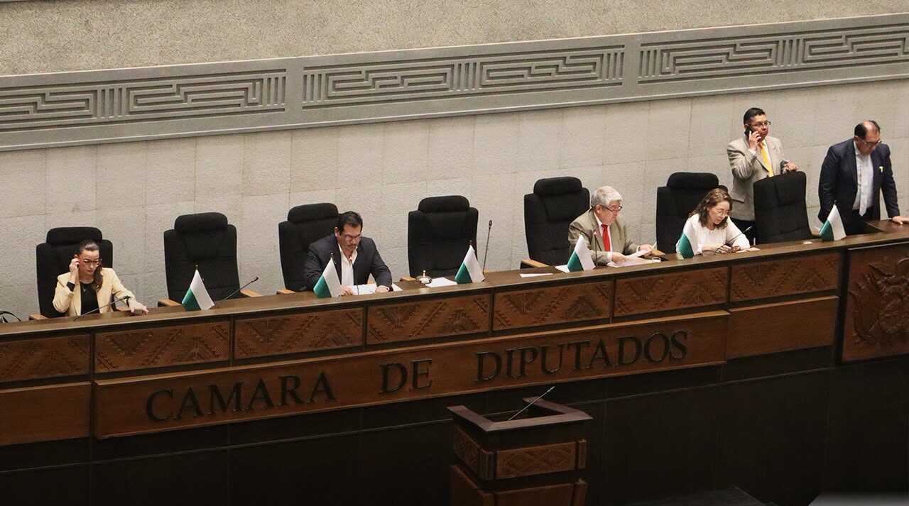 Legisladores analizan el proyecto de ley de modificación de la Ley 260. Foto: Cámara de Diputados.