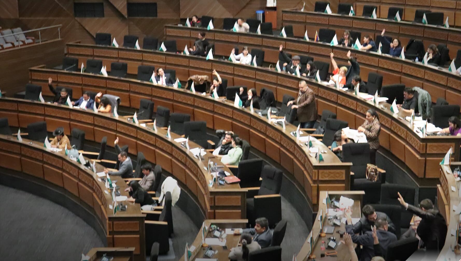 Legisladores emiten su voto en sesión ordinaria. Foto: Cámara de Diputados.