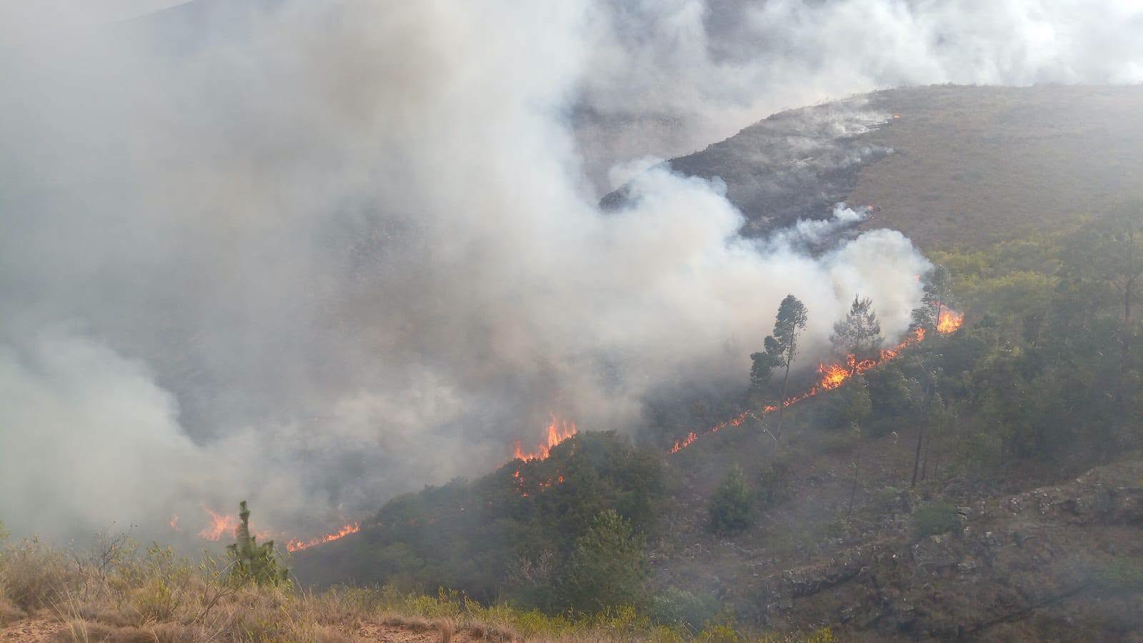 Uno de los incendios registrados en Cochabamba. Foto: SAR-Bolivia filial Cochabamba.