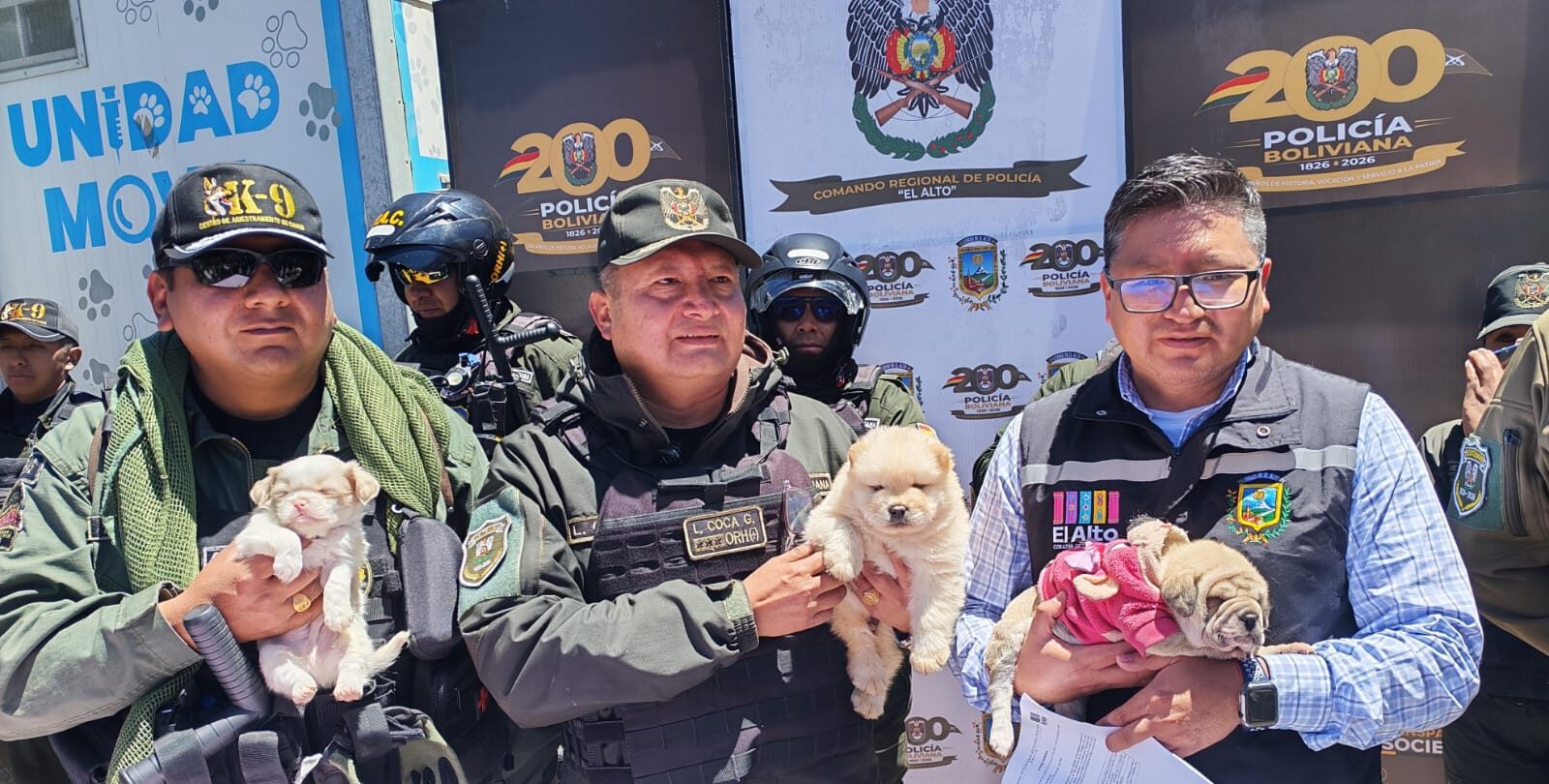 Policía y Alcaldía de El Alto rescatan a 46 animales de la venta clandestina.