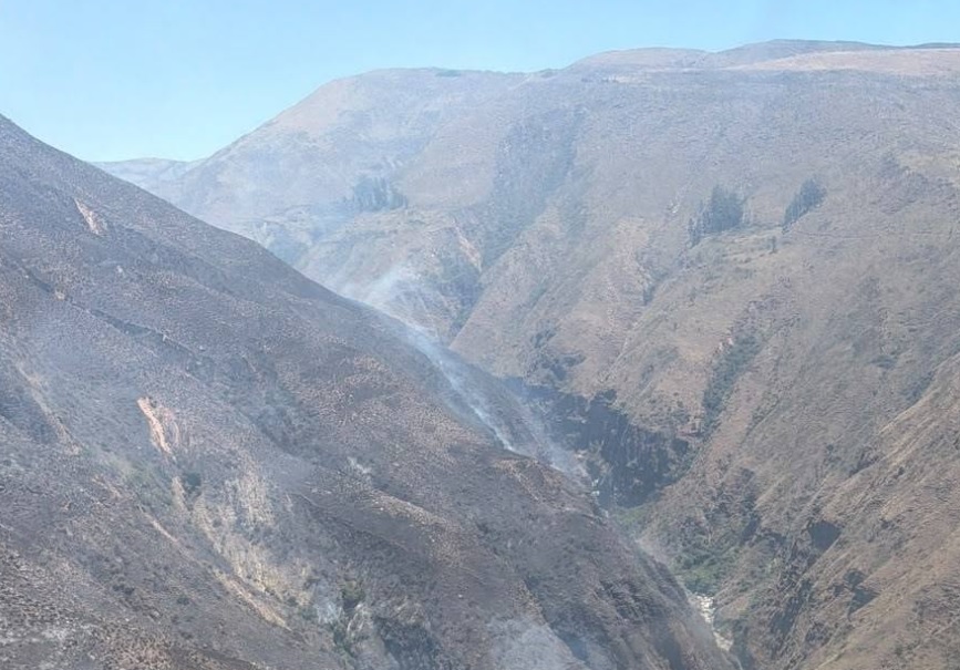 Parte del área que fue afectada por el fuego. Foto: Defensa Civil