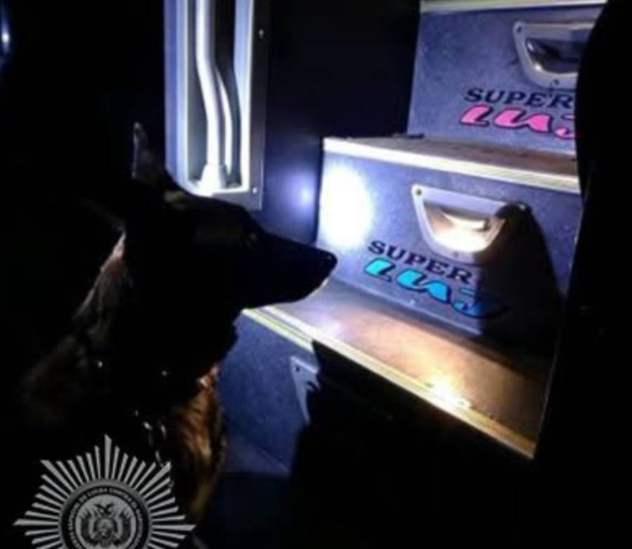 El can detecta droga en una flota, Foto: FELCN