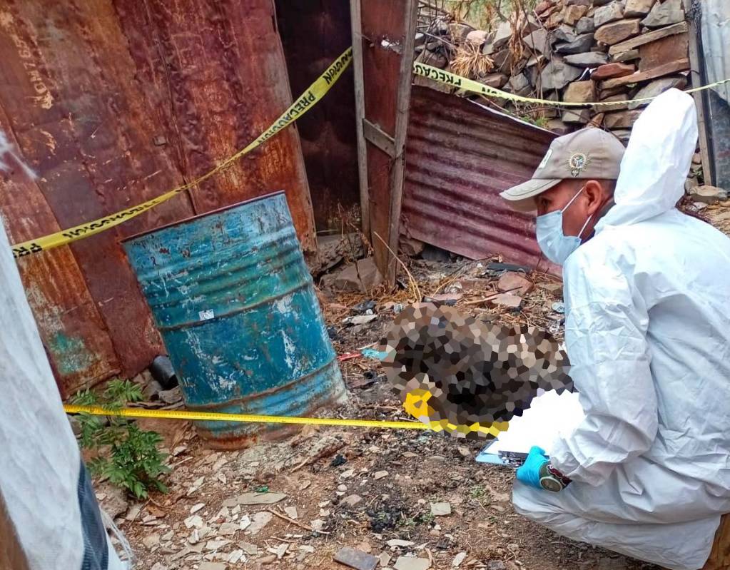 Los restos encontrados de uno de los canes. Foto: Zoonosis Cochabamba